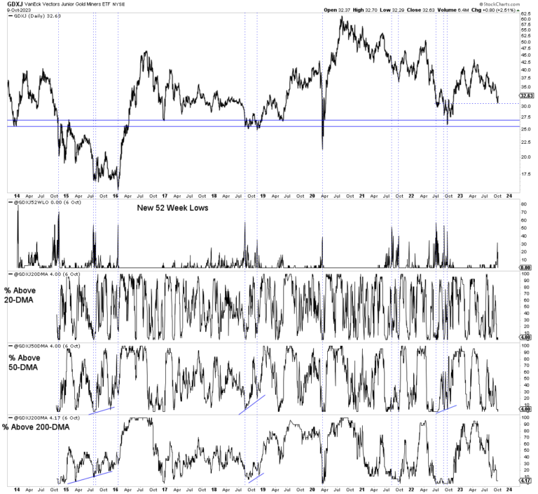 Pinpointing the Major Bottom in Gold Stocks The Daily Gold